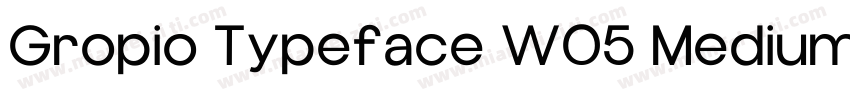 Gropio Typeface W05 Medium字体转换